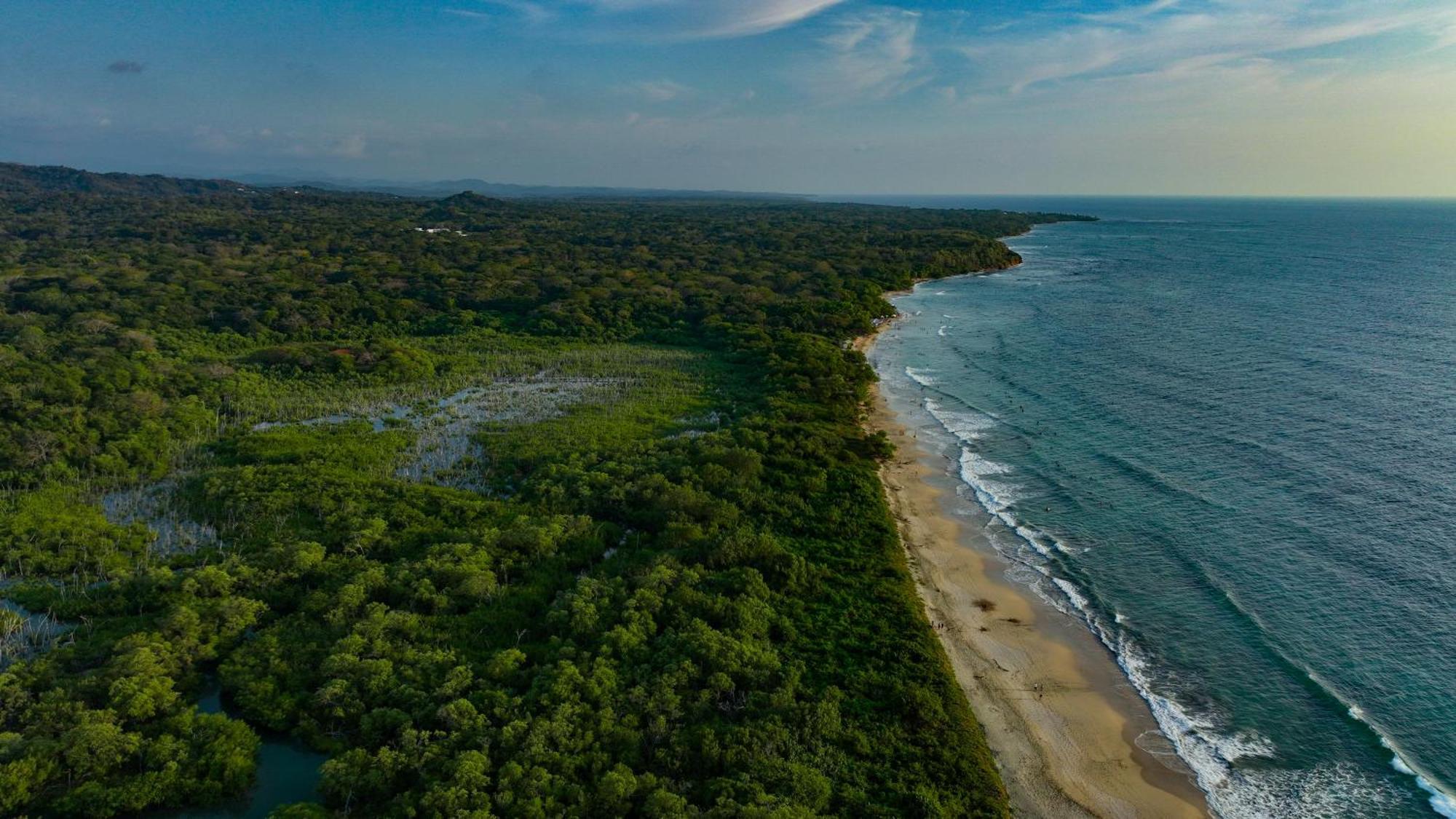 Beach Walk Costa Rica Плайя-Авельяна Экстерьер фото